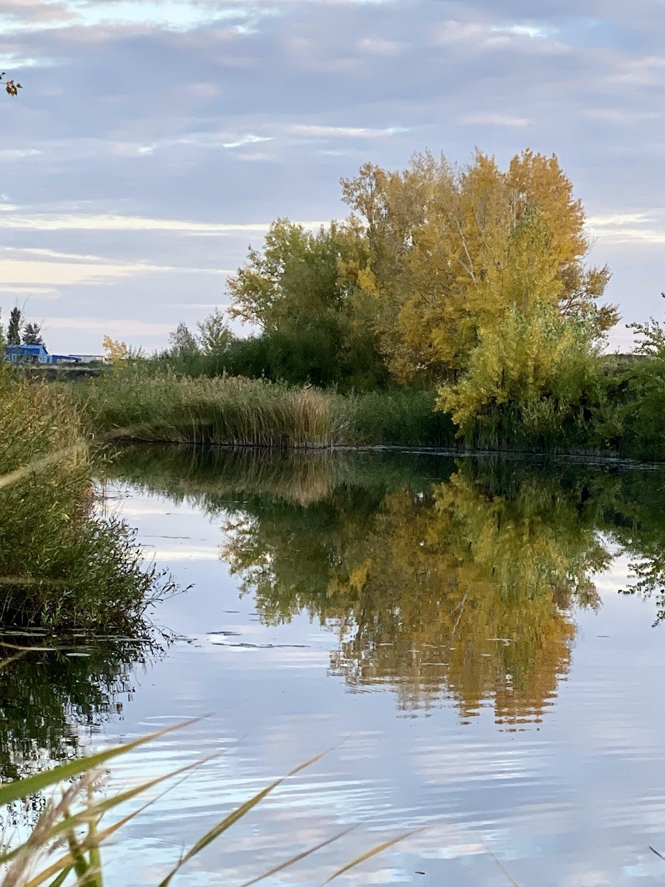 Заочный городской конкурс художественной фотографии «Наш любимый цвет – Октябрь».